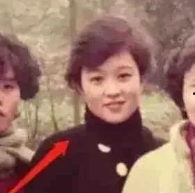 娱乐圈中年吃瓜少女,揭秘中年吃瓜少女生存法则